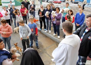 Dia de São Francisco é comemorado com Benção dos Animais