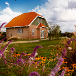 Turismo rural governador sanciona lei que cria a Rota da Lavanda no Paraná - Foto Het Dorp (4)