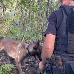 Polícias Civil e Militar realizaram ação integrada em combate ao tráfico em Palmeira-4-Divulgação Polícia Civil