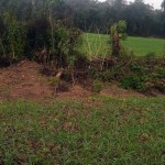 Policia Ambiental São Mateus do Sul 1