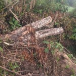 Policia Ambiental São Mateus do Sul