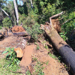 Polícia Ambiental SJT  (5)