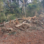 Polícia Ambiental - Vileiros  (1)