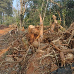 Polícia Ambiental - Vileiros  (2)