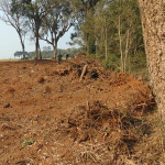 Polícia Ambiental - Vileiros  (3)