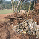 São Mateus do  Sul - Polícia Ambiental  (5)