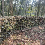 São Mateus do  Sul - Polícia Ambiental  (6)