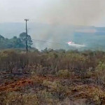 Incendio Palmeira - Defesa Civil  (1)