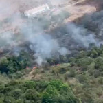 Incendio Palmeira - Defesa Civil  (3)