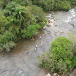 Equipe Ambienal - Polícia Ambiental  (2)