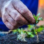 Visita tÃ©cnica Linha EcolÃ³gica em Formosa e JesuÃ­tas